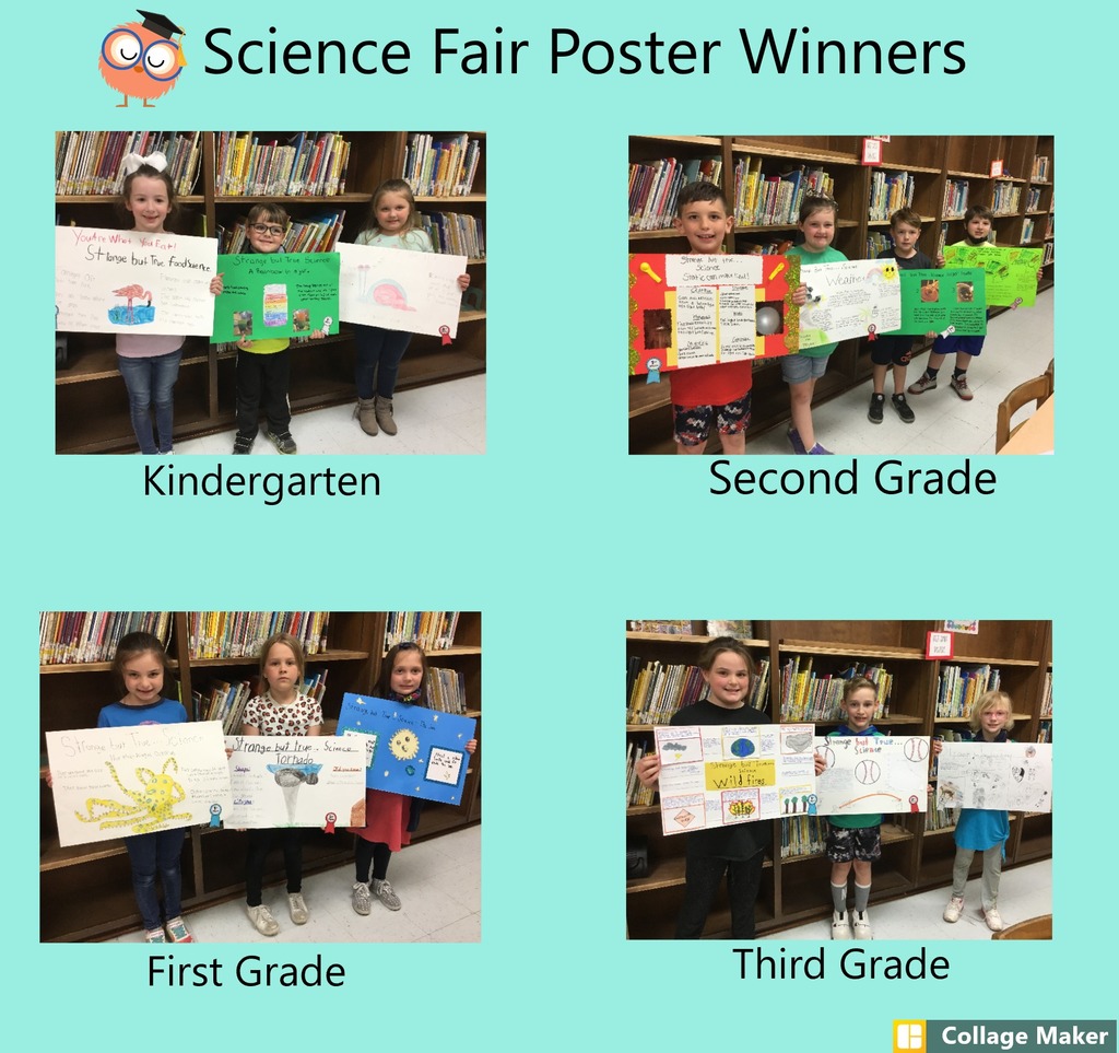Science Fair Poster Winners