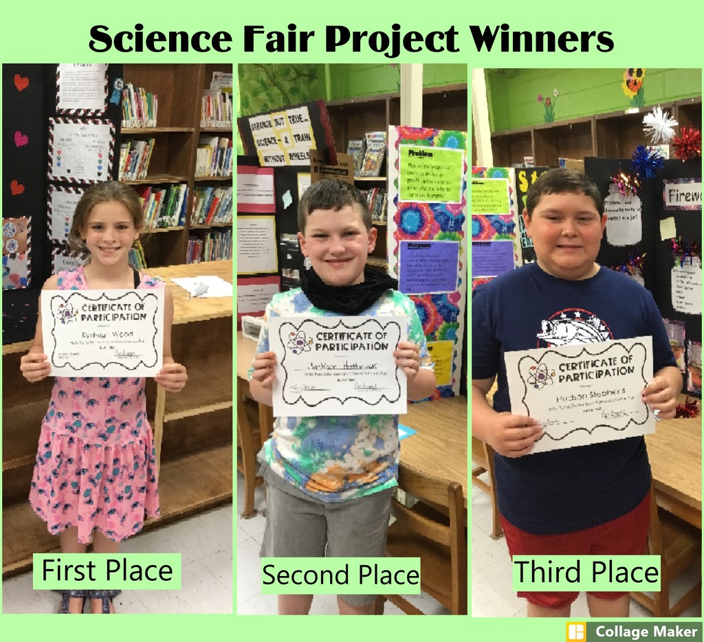 Science Fair Project Winners