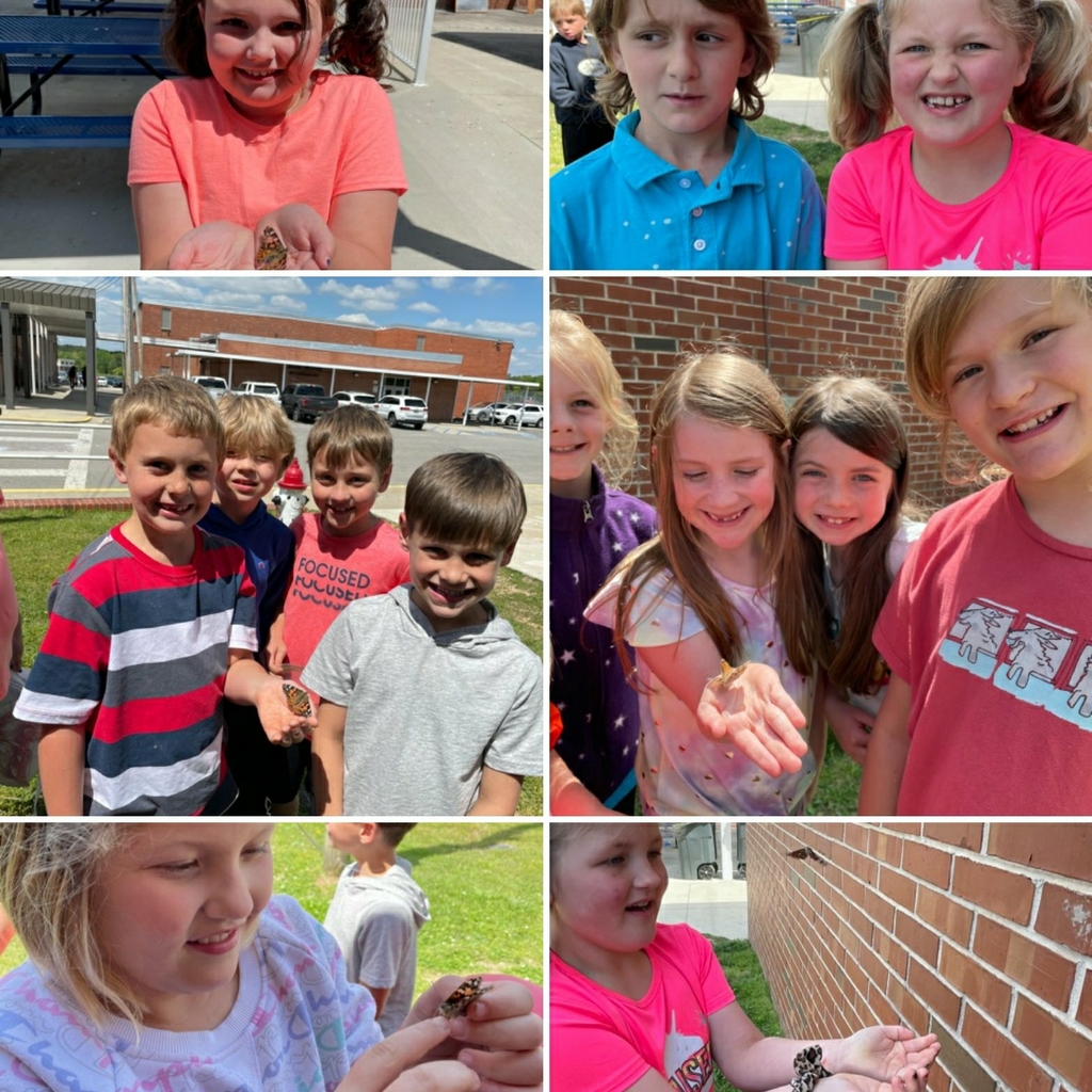 second grade students showing the butterflies they released