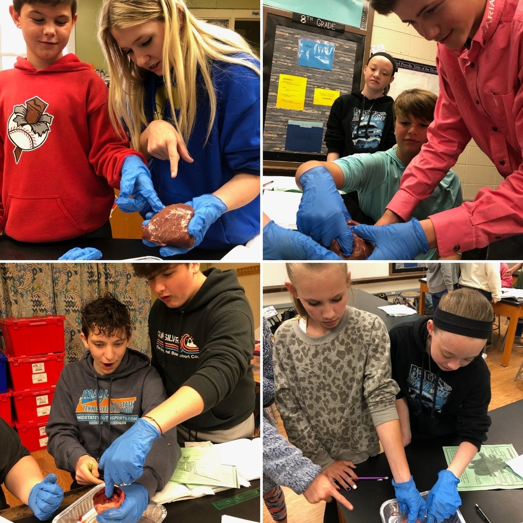 7th grade science