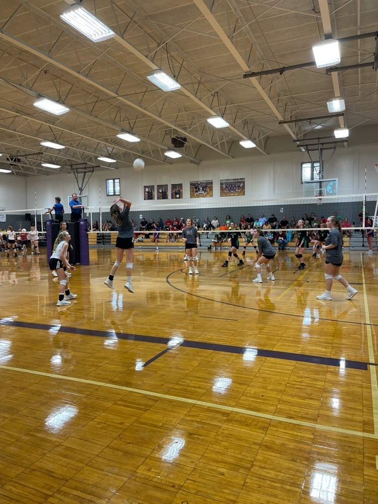 volleyball