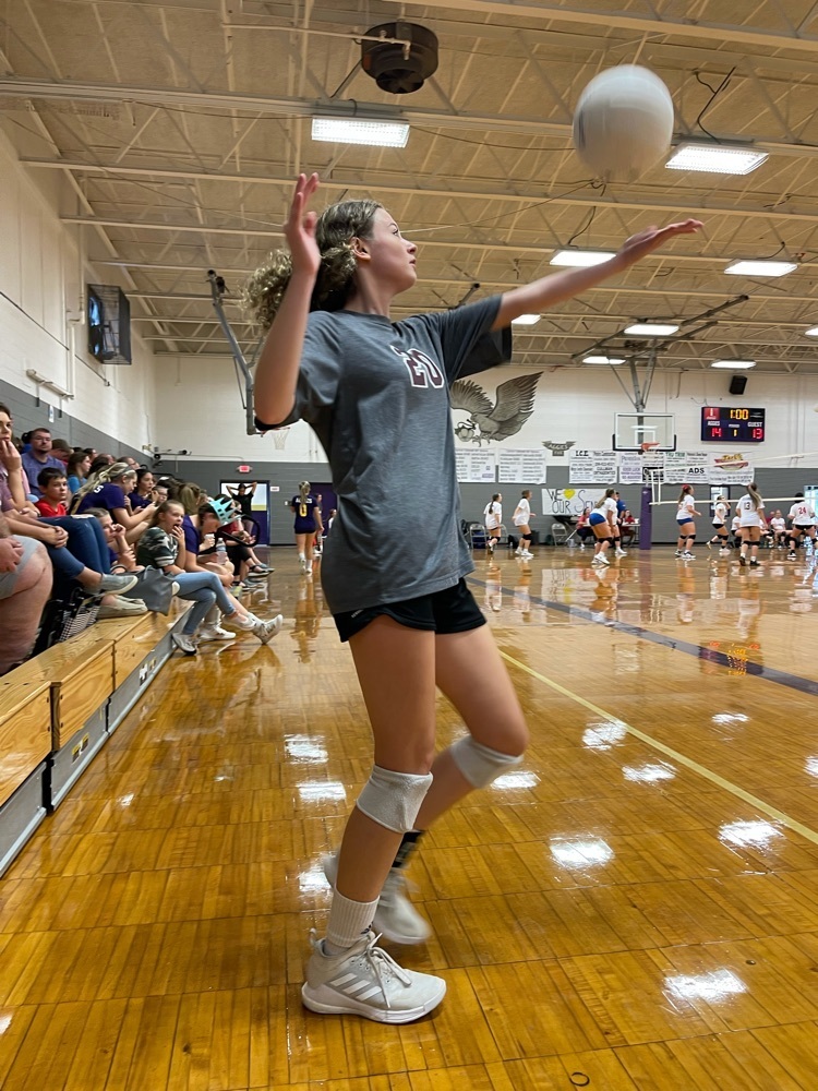 volleyball