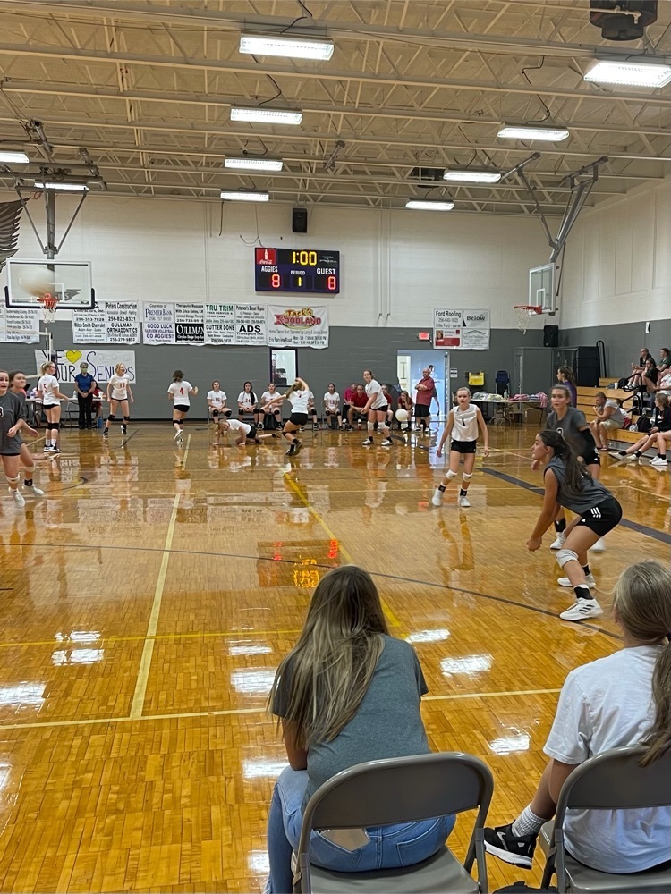 volleyball