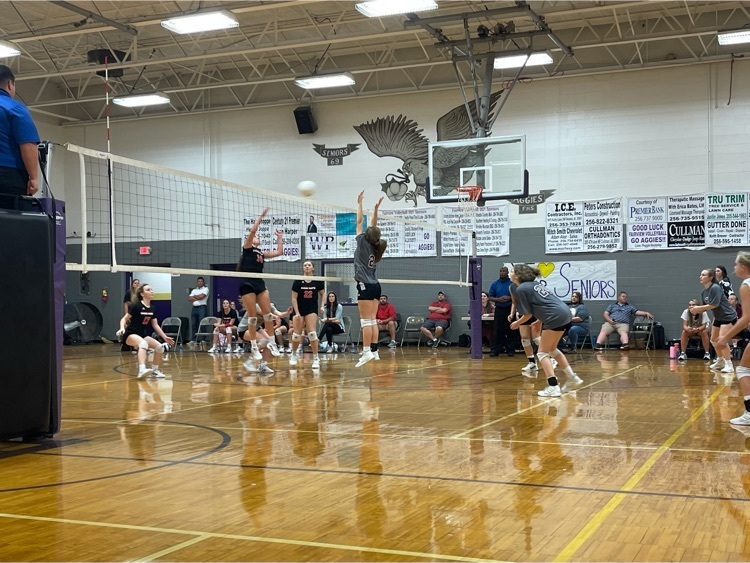 vb