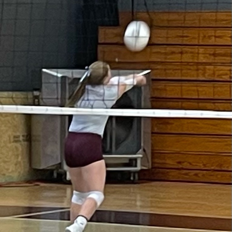 vb