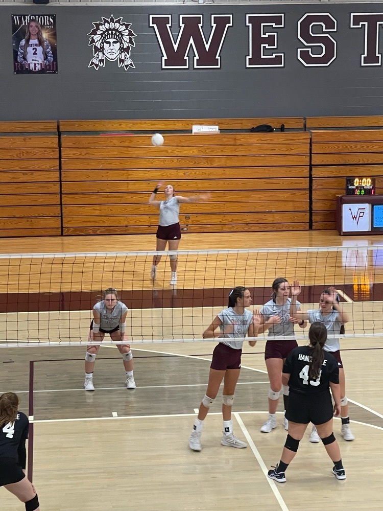 vb