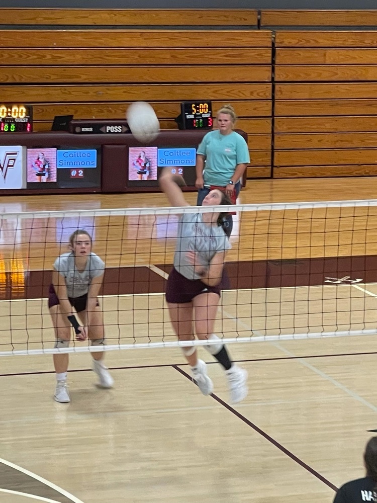 vb