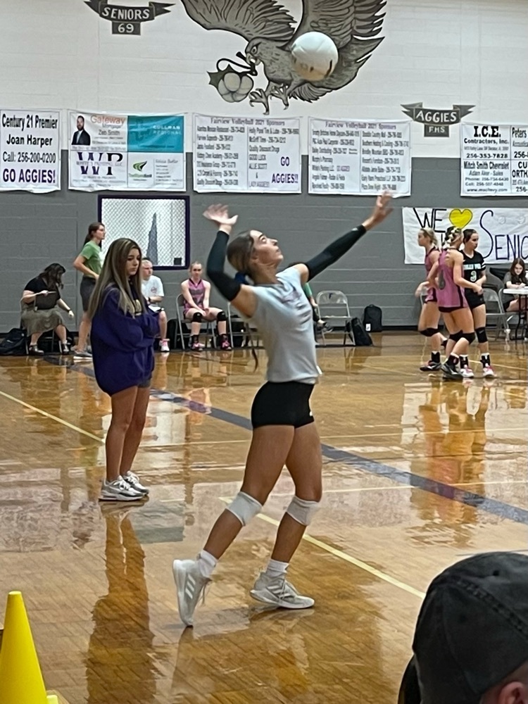 vb