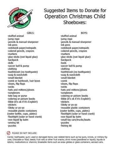 shoe