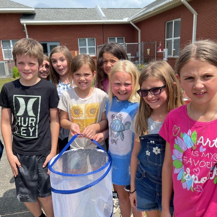 Butterfly Release