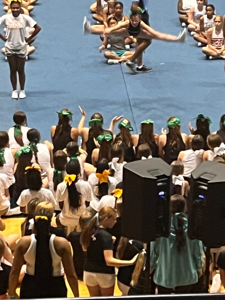 Live Feed Holly Pond High School